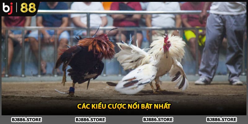 Các kiểu cược nổi bật nhất