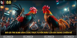 Đá Gà Tre BJ88 Sân Cược Trực Tuyến Máu Lửa Đa Dạng Chiến Kế