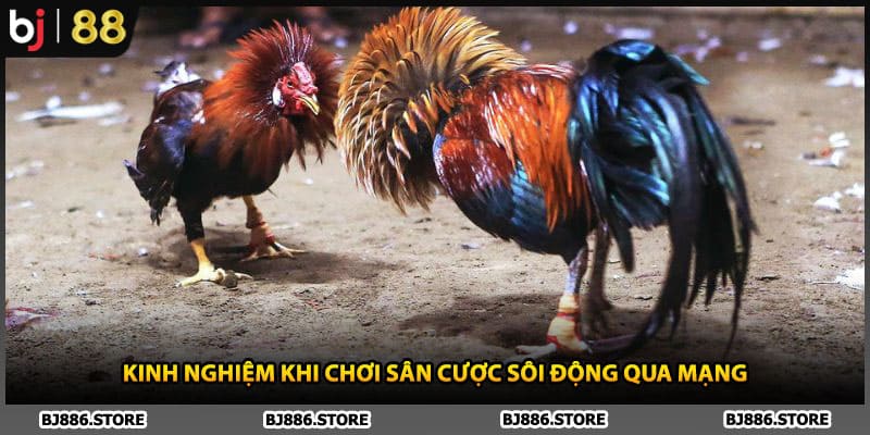 Kinh nghiệm khi chơi sân cược sôi động qua mạng