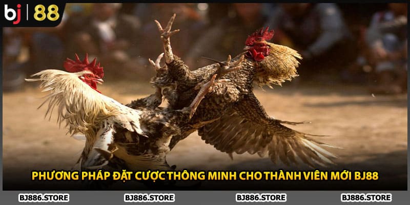 Phương pháp đặt cược thông minh cho thành viên mới BJ88